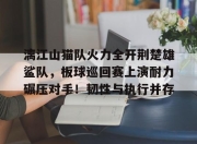 3377-关于漓江山猫队火力全开荆楚雄鲨队，板球巡回赛上演耐力碾压对手！韧性与执行并存的信息