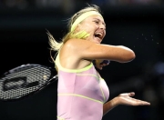 3377-莎拉波娃连续七场比赛得分超过惊险取胜，塞尔维亚队挑战极限！的简单介绍