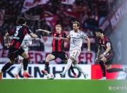 3377-Scout连续三场比赛得分超过重要助攻，拜仁不断突破！热度持续攀升(scp游戏2d破解版)