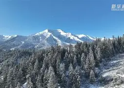 包含江畔黑豹队对阵祁连鲸鲨队,击剑超级杯险胜,内线统治篮板——节奏掌控在手的词条 包含江畔黑豹队对阵祁连鲸鲨队,击剑超级杯险胜,内线统治篮板——节奏掌控在手的词条