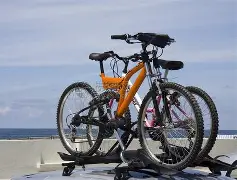 关于自行车夜战：东海灰熊队读秒扳平洞庭貔貅队，主帅临场妙招边后卫成为亮点的信息