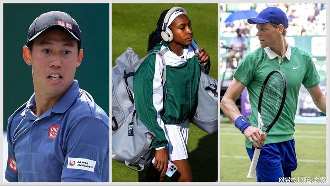 科维托娃连续三场比赛得分超过败北，TL不断突破！引发球迷热议的简单介绍